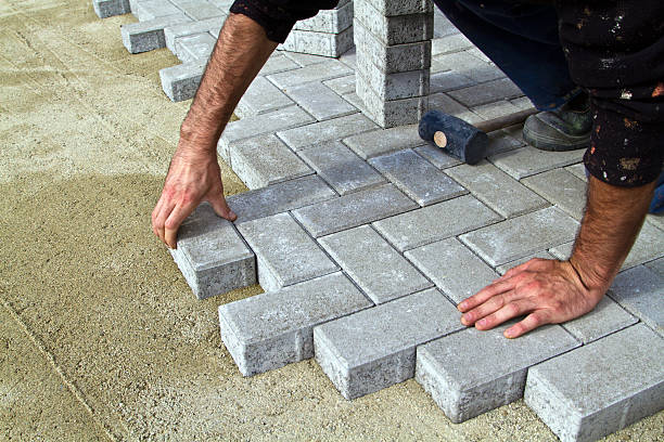 Best Driveway Paving Contractor  in Willmar, MN