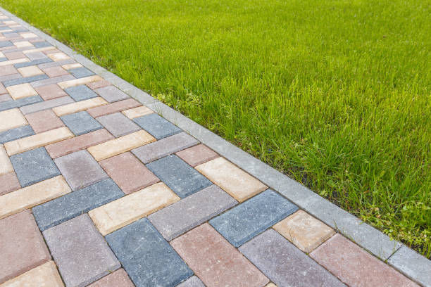 Best Driveway Paving Contractor  in Willmar, MN